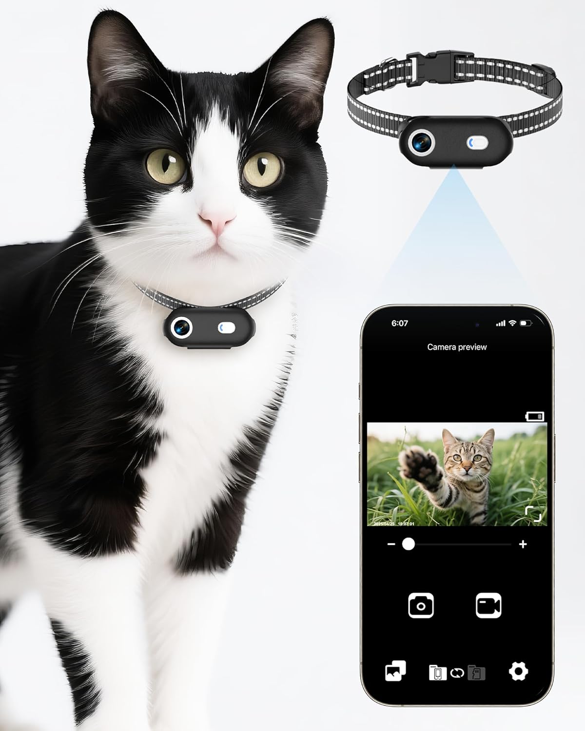 Dedicated pet collar camera with remote mobile viewing