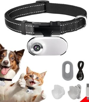 Wearable HD pet collar camera for on-the-go recording