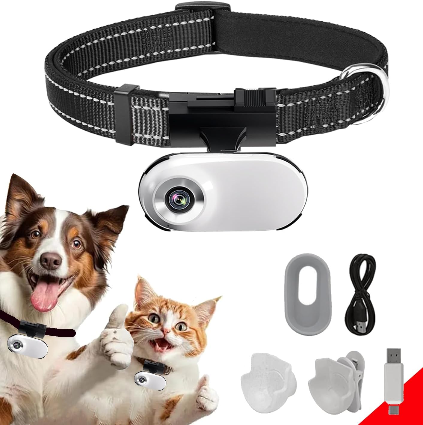 Wearable HD pet collar camera for on-the-go recording