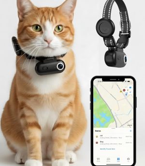 Pet collar camera with tracking and mobile video viewing