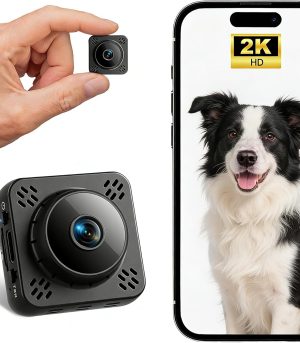 Magnetic mini monitor with HD night vision for pet care